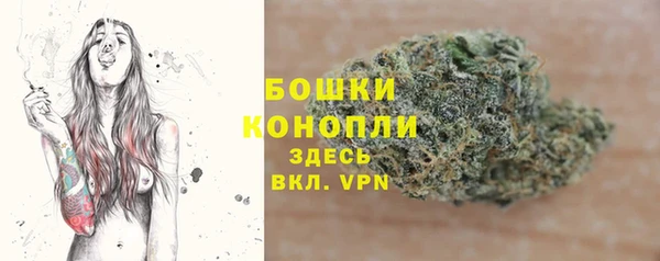 гашик Покачи