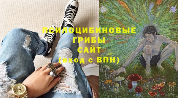 гидропоника Пересвет