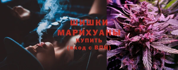 гашик Покачи